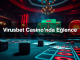 virusbet casino nda e lence 1780243175072